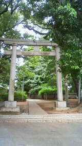 624954b0.jpg