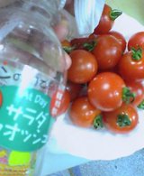 784d294a.jpg