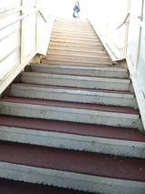 b231c780.jpg