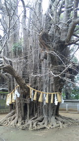 bebbbe63.jpg