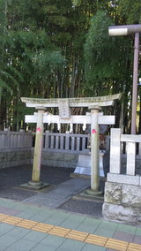 d6c8a299.jpg
