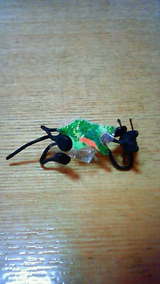 ea4c4138.jpg