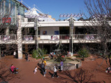 w6