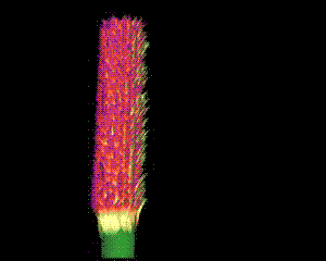 fig20