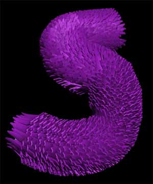 fig19