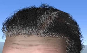 fig13