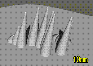 fig06