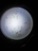 5d628f66.jpg