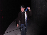 724d719e.jpg