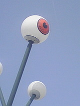 08d236aa.jpg