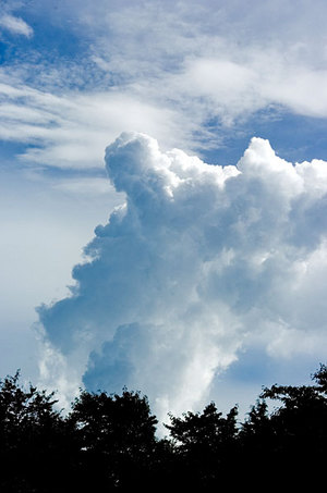 入道雲