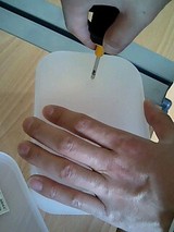 観葉植物デビュー3