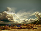 6f871262.jpg