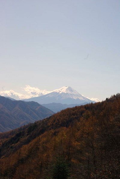 紅葉のむこうに富士山