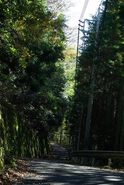 修験者の道を