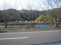��褤������