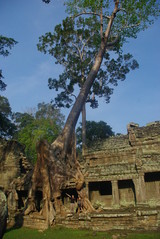 IMGP1221