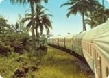 train