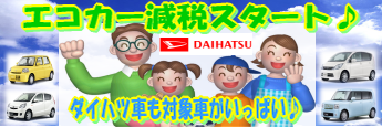 ¥¨¥³¥«¡¼¸ºÀÇ