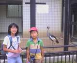 もひかんつる