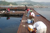 釣り