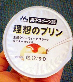 091120理想のプリン