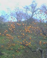 5f0a6d27.jpg