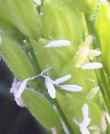 c84ac5a0.jpg
