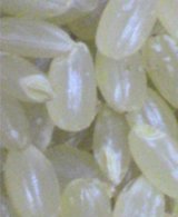 d81cd469.jpg