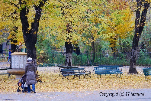 Autumn in Schunbrunn