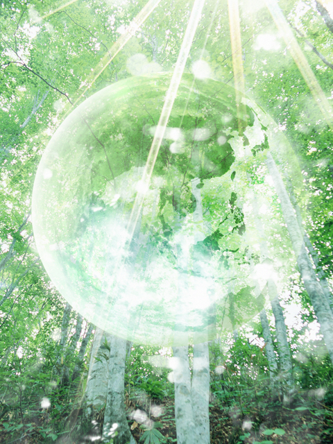 http://image.blog.livedoor.jp/tanablog/imgs/8/2/82053728.jpg