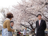 下蕨お花見