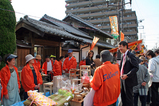 蕨苗木市