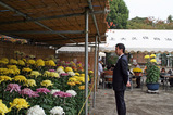 桜区上大久保地区・菊まつり