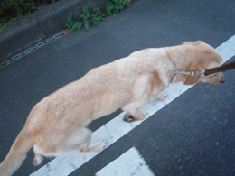 run