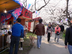花より屋台