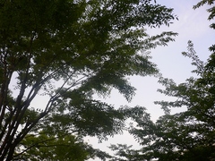 �ڤΥȥ�ͥ�