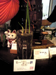 SBSH0012