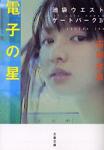 電子の星 池袋ウエストゲートパークⅣ