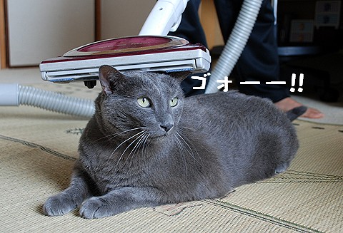 頭も 080922-2
