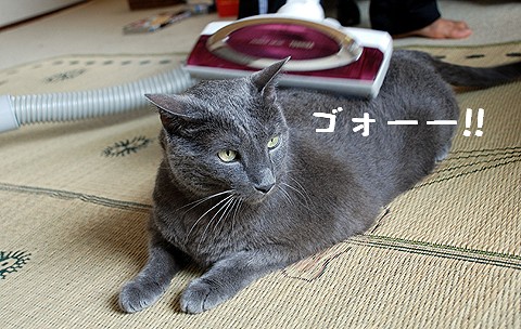 掃除機 080922-1