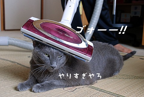 やりすぎか? 080922-3