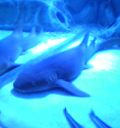 05-08-01_11-37.jpg