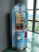 toyama (38)