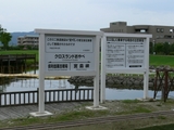 toyama (58)