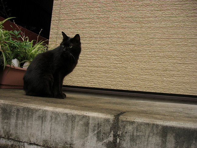 20080824-001