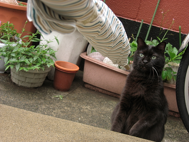 20080824-005