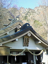 fd726122.jpg