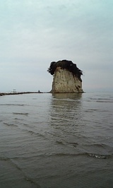 76f18b92.jpg