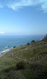 f65840a3.jpg